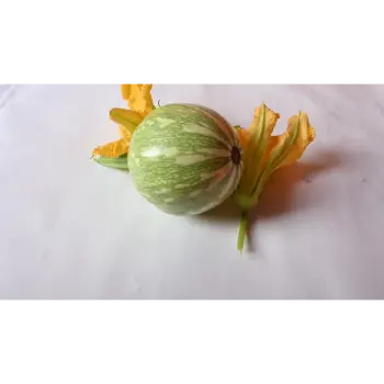 fresh pumpkin (25)-9300969-43480.webp